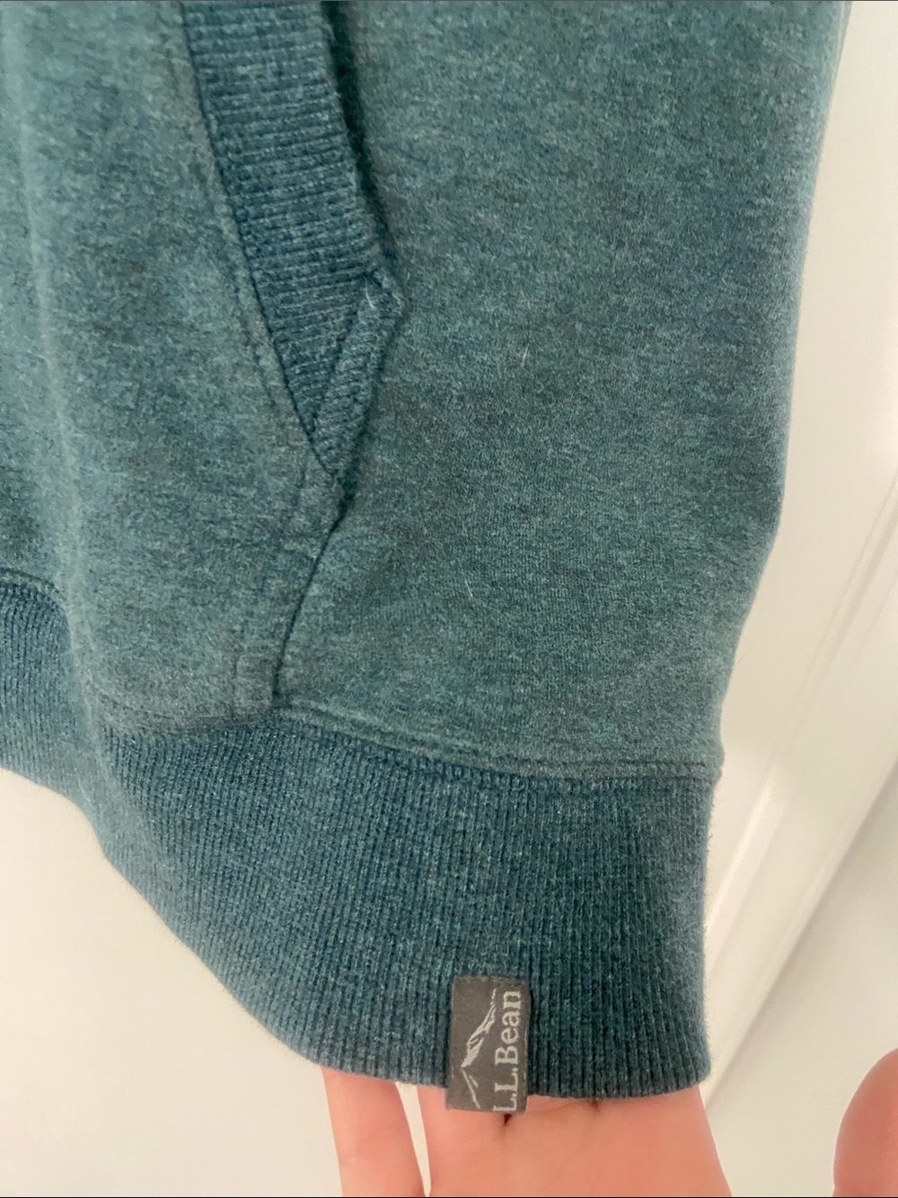 L.L. Bean Cozy Camp Graphic Hoodie - Picture 6 of 12